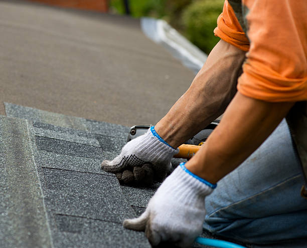 Best Local Roofing Companies  in Sun City Center, FL