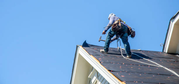 Best Commercial Roofing Services  in Sun City Center, FL